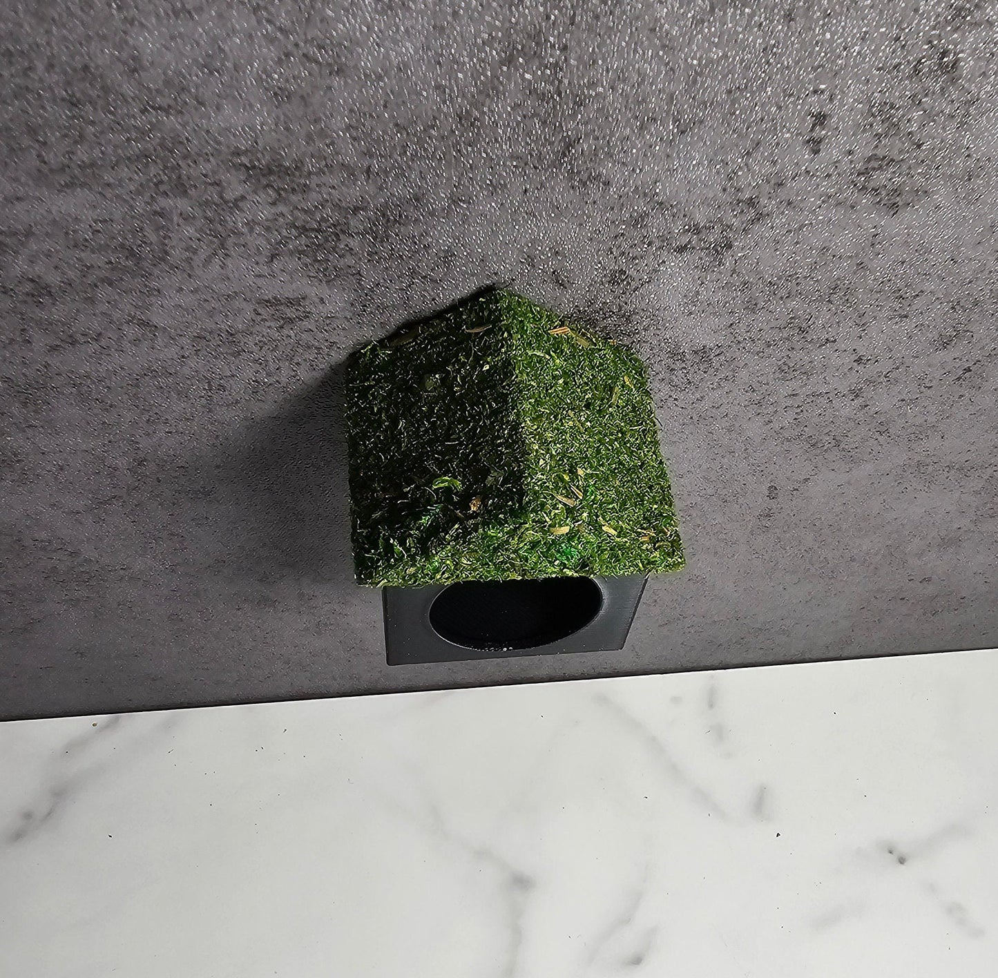 Magnetic Moss Cottage/House Hide for Jumping Spiders