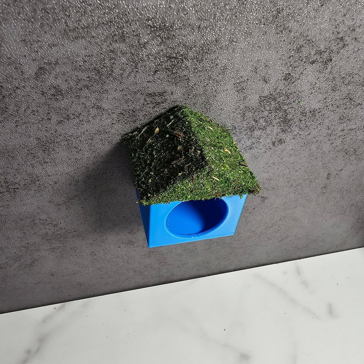 Magnetic Moss Cottage/House Hide for Jumping Spiders