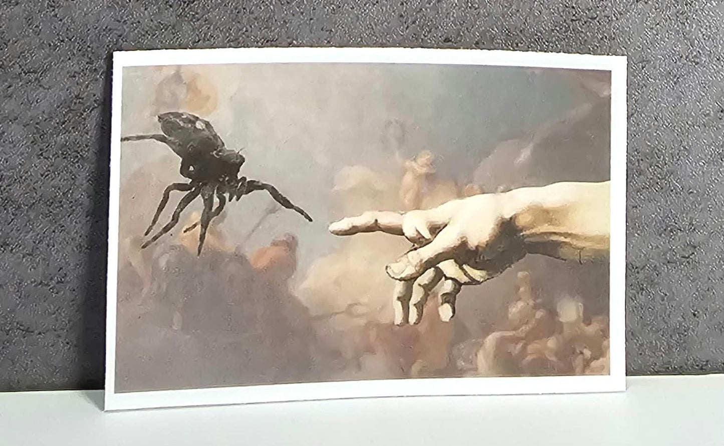 3 inch Matte Jumping Spider Sticker (Finger in the clouds)